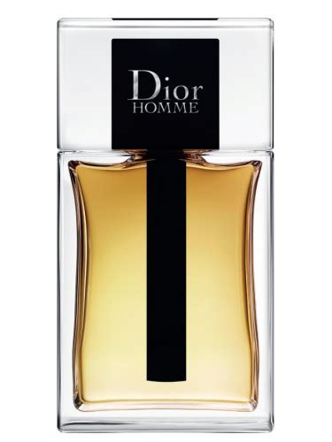 dior homme 2020 fragrantica|dior homme original for men.